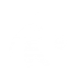 动作：篮球