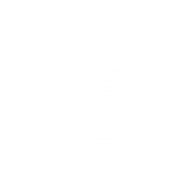 动作：轻蔑