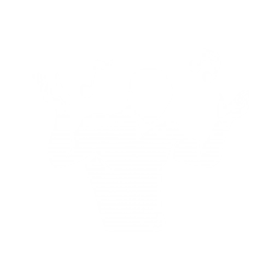 动作：欢快步伐