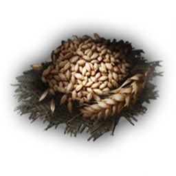 麦芽
