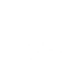 动作：大力士