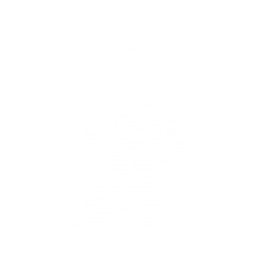 动作：战舞